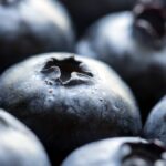 Index glycémique : ce qui fait monter la glycémie, et ce qui la freine