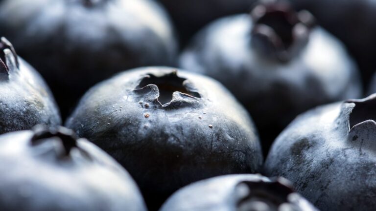 Index glycémique : ce qui fait monter la glycémie, et ce qui la freine
