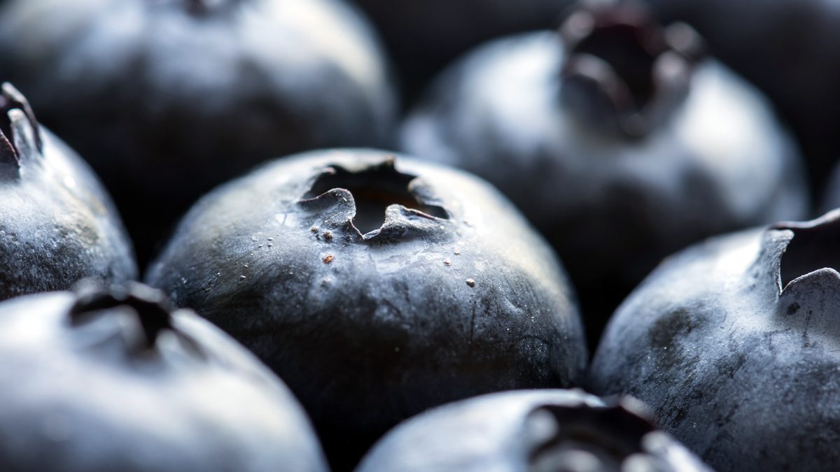 Index glycémique : ce qui fait monter la glycémie, et ce qui la freine